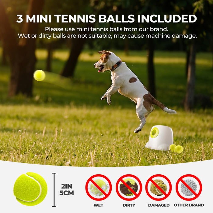 ALL FOR PAWS Dog Ball Launcher - Interactive Toy, Mental Stimulation, Small/Medium Dogs